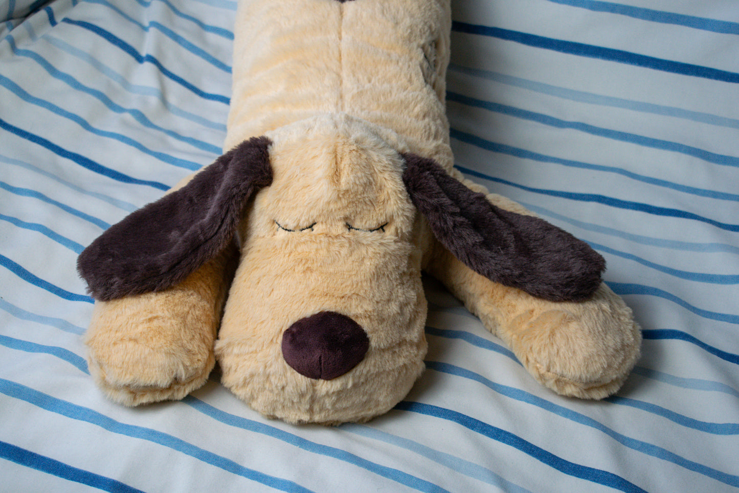 Sleepy Puppy KipMate
