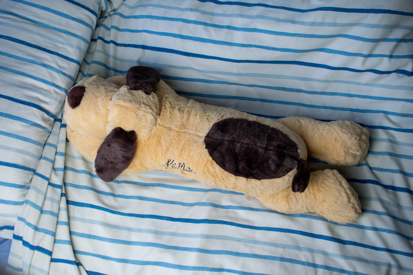 Sleepy Puppy KipMate