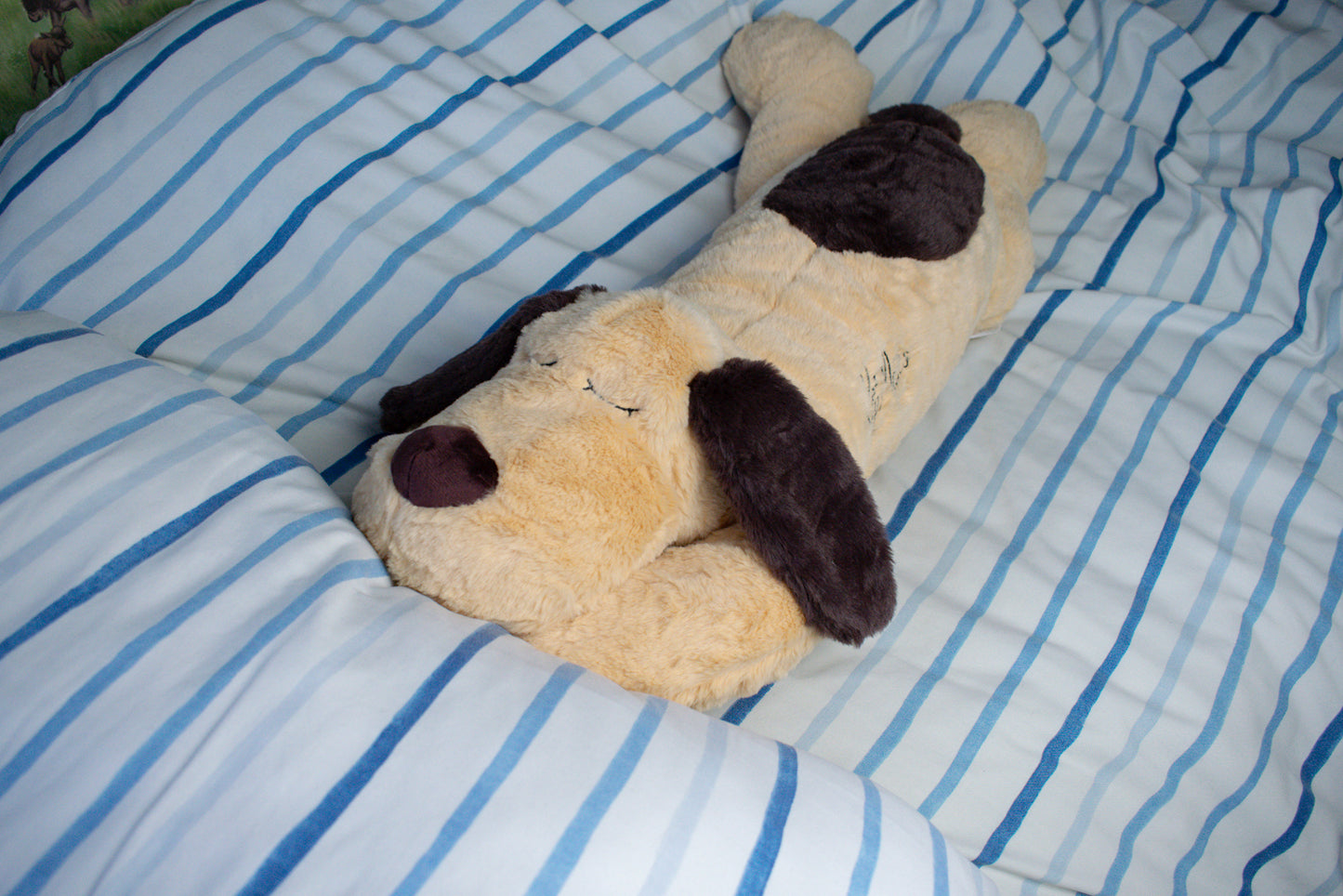 Sleepy Puppy KipMate